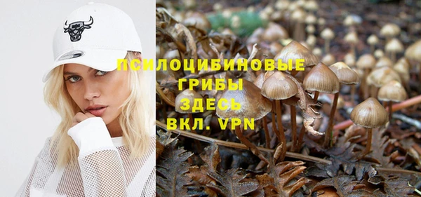 дживик Гусь-Хрустальный