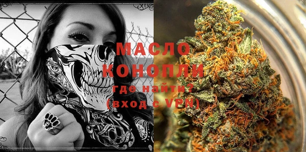 мдпв Верея