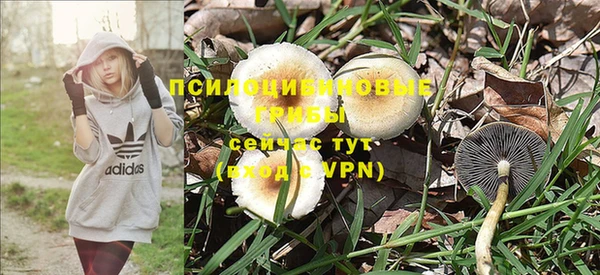 Альфа ПВП Гусиноозёрск
