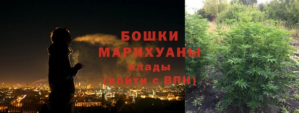 дживик Гусь-Хрустальный