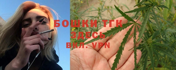 мдпв Верея