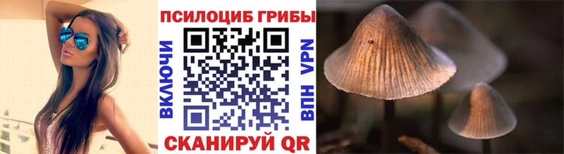 маркетплейс клад  Южно-Сухокумск  Галлюциногенные грибы мухоморы 